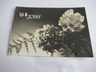 19.3. Josef - Květiny