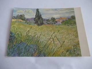 Vincent van Gogh: Zelené žito