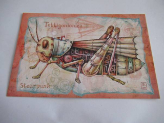 Elizaveta Melkozerova - Tettigonioidea - parní koník