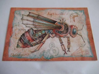 Elizaveta Melkozerova - Anthophila - hmyz