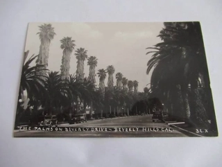 Beverly Hills - The palms on Beverly Drive - USA