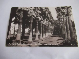 Santa Monica - Palms on Palisades  - USA