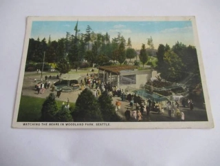 Seattle - The bears in Woodland - USA