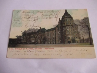 New York - Museum of natural history - USA