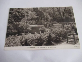 Chicago - The University of Chicago - USi