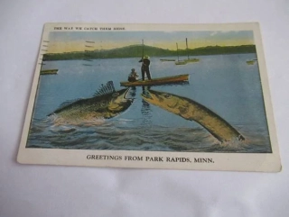 Minnesota - Greetings from Park Rapids - USA