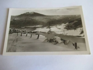 Šumava - Javor