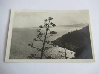 Dubrovnik - Trsteno - Chorvatsko