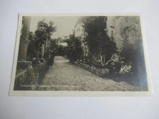 Dubrovnik - Trsteno u Parku Grofa Gazze - Chorvatsko