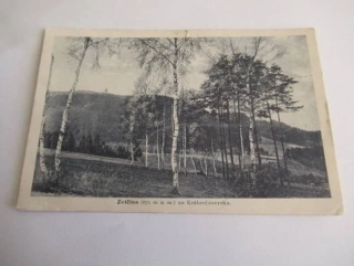 Zvičina na Královédvorsku