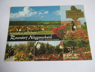 Rosendort Nöggenschwiel - Švýcarsko