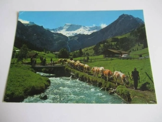 Alpabfahrt, Wildstrubel - Švýcarsko