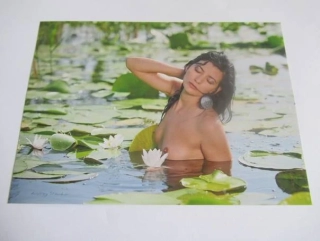 Ženský akt - Krásná dívka - Fotografie cca 17,5 x 12,5 cm