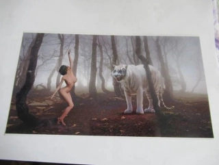 Ženský akt - Krásná dívka - Fotografie cca 22 x 12,5 cm