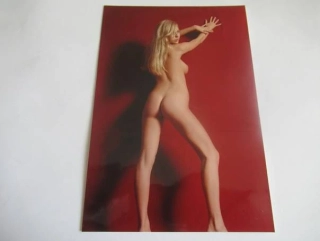 Ženský akt - Krásná dívka - Fotografie cca 18,5 x 12,5 cm