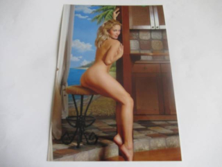 Ženský akt - Krásná dívka - Fotografie cca 18 x 12,5 cm