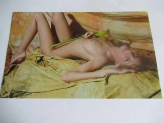 Ženský akt - Krásná dívka - Fotografie cca 20,5 x 12,5 cm