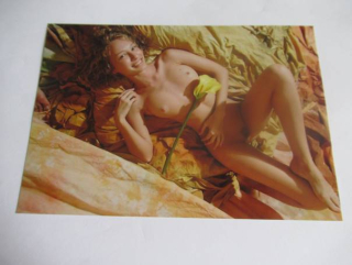 Ženský akt - Krásná dívka - Fotografie cca 18,5 x 12,5 cm