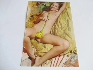 Ženský akt - Krásná dívka - Fotografie cca 18 x 12,5 cm