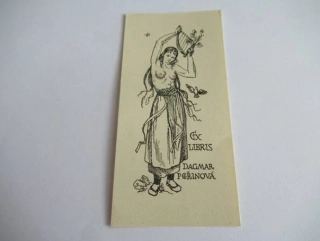 Exlibris Dagmar Peřinová | Alois Peřina, originální zinkografie / perokresba