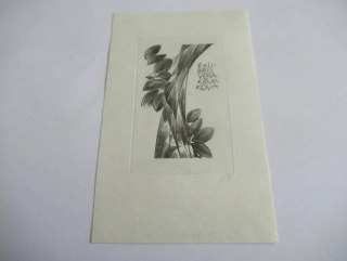 Originální Mědirytina Exlibris Věra Krupková – Motiv Stylizovaný kmen s listy a číslované vydání – Wojciech Jakubowski (12,5 x 8 cm)