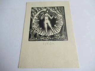 Exlibris – Ph. Mr. Dr. Vincenc Bosák – původní dřevoryt (X2) s autorskou signaturou – 13,5×9,5 cm