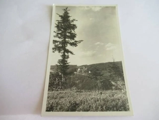 Hrad Svojanov