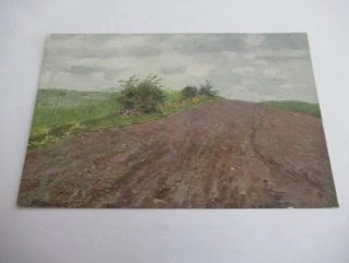 Al. Kalvoda - cesta s květinami