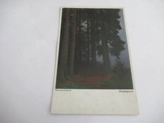 Hermann Rudisuhli: Morgengrauen