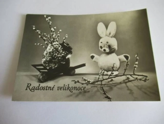 Zajíček s kočičkami