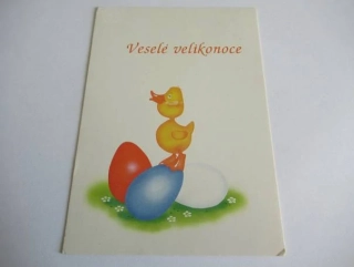 Kuřátko s vajíčky