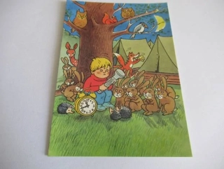 Chlapec s baterou a zvířátka