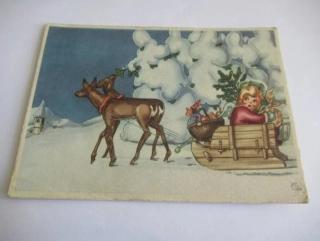 Dívka na saních