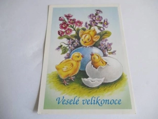 Kuřatka s vajíčky