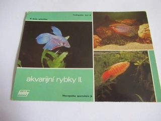 Akvarijní rybky