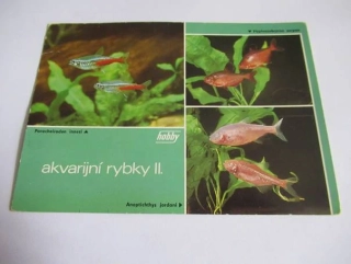 Akvarijní rybky