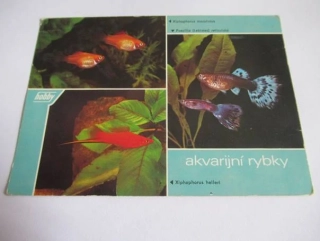 Akvarijní rybky