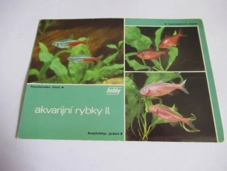 Akvarijní rybky