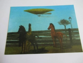 Kamil Lhoták - Zebry v zoologické zahradě