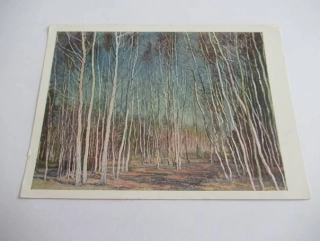 V. Bakscheyev - jaro