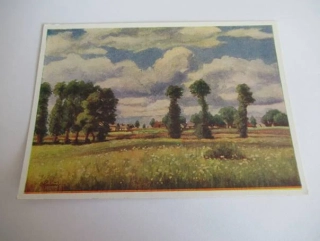 B. Hradečný - stromy