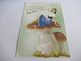 Recept na kyselo
