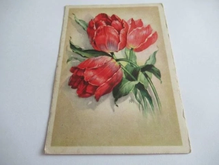 Tulipány