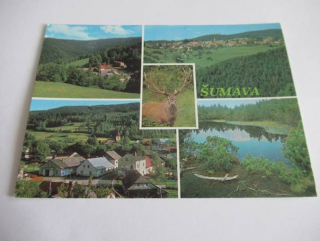 Šumava - krajina u srní, Krušnohorské hory s hradem Kašperkem v pozadí..