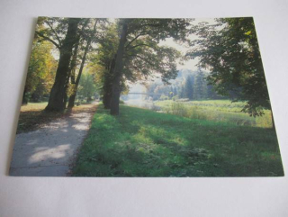 Lázně Teplice nad Bečvou - Alej na pravém břehu řeky Bečvy