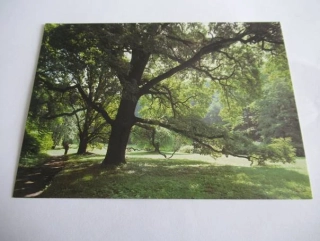 Státní zámek Krásný Dvůr - zámecký park