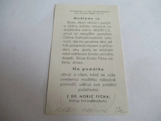 Madona Tempi - Dr. Mořic Pícha, Hradec králové