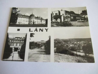 Lány