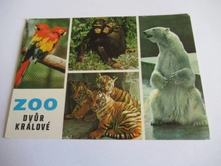 Dvůr Králové nad Labem - zoo