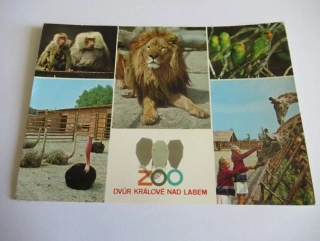 Dvůr Králové nad Labem - zoo